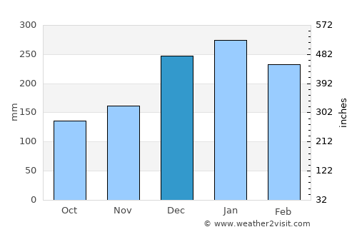 Socorro average rain in December