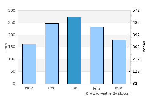 Socorro average rain in January
