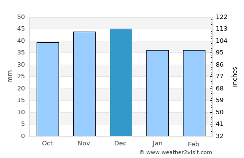 Şoimuş average rain in December