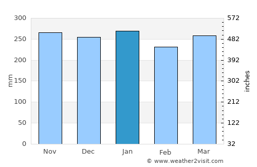 Solok average rain in January
