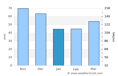 Somerville average rain in January
