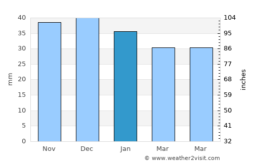 Soroca average rain in January