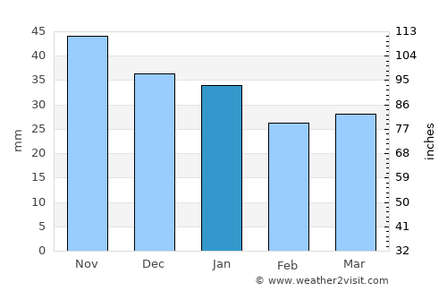 Sorsele average rain in January