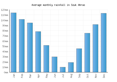 Souk Ahras monthly rainfall chart (mm)