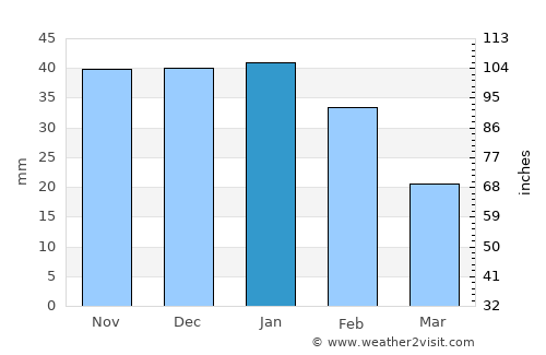 South Padre Island average rain in January