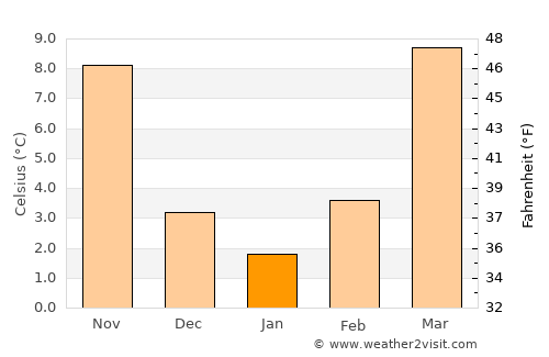 Soyībug average temperature in January