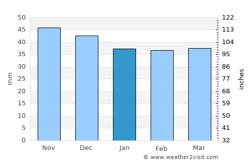 Spineni average rain in January