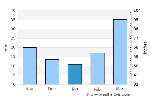 Springview average rain in January