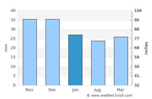 Śrem average rain in January