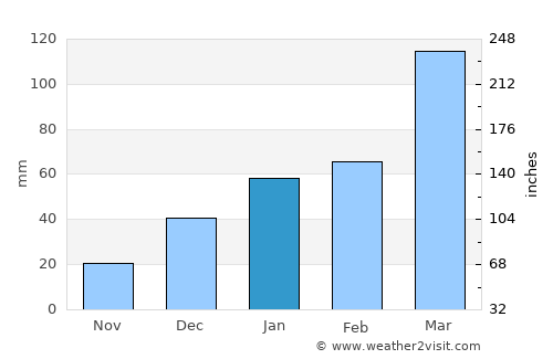 Srīnagar average rain in January