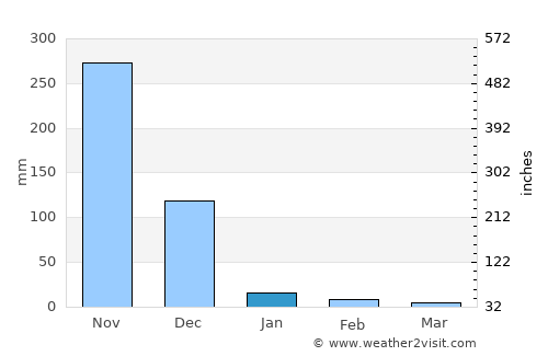 Srīperumbūdūr average rain in January