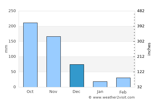 Srivilliputhur average rain in December