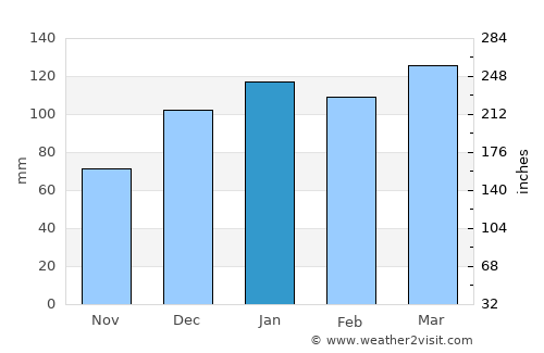 Statenville average rain in January