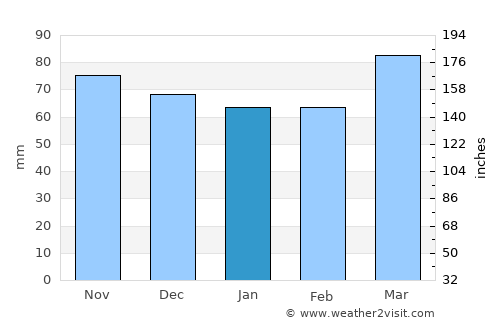 Staunton average rain in January