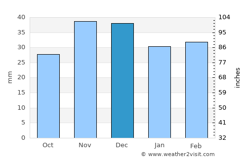Stejaru average rain in December