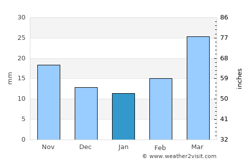 Stinnett average rain in January