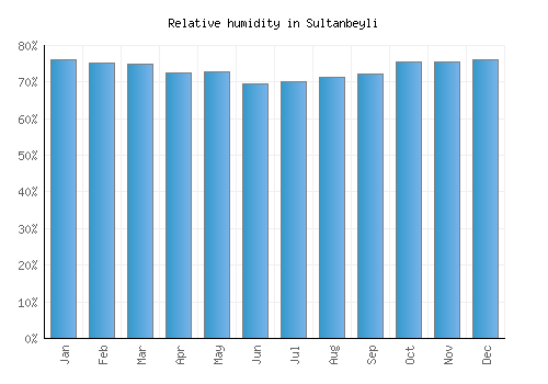 Sultanbeyli relative humidity averages