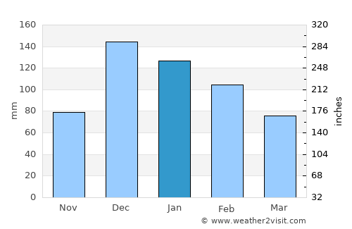 Sultanhisar average rain in January