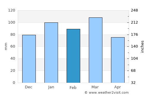 Summerville average rain in February