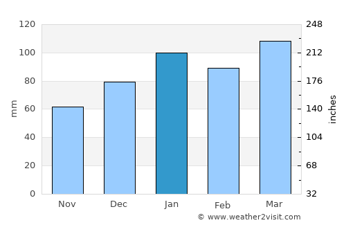 Summerville average rain in January