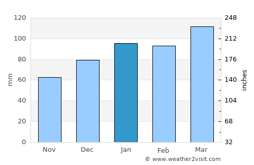 Sumter average rain in January