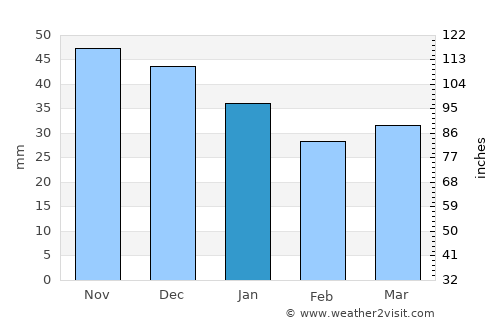 Surazh average rain in January