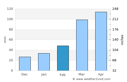 Surubim average rain in February
