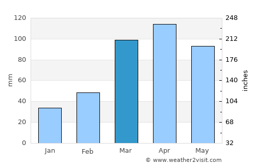 Surubim average rain in March