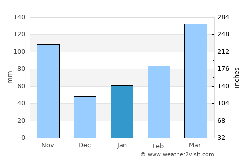Susaki average rain in January