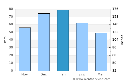 Susanville average rain in January
