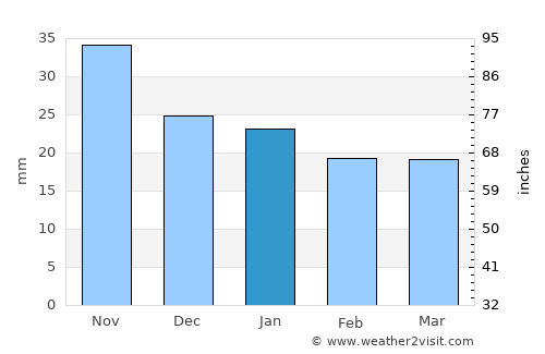 Suzun average rain in January