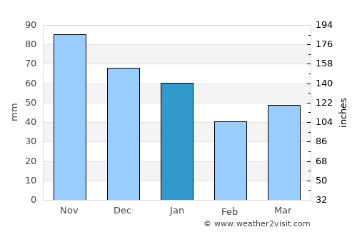 Svanesund average rain in January