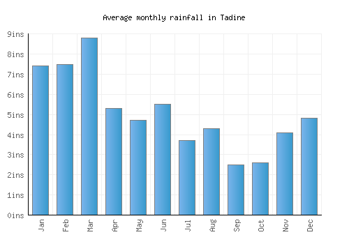 Tadine monthly rainfall chart (inches)