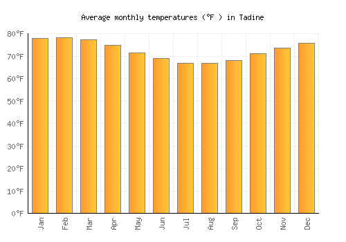 Tadine average temperature chart (Fahrenheit)