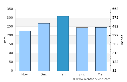 Taguatinga average rain in January