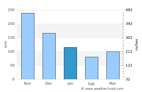 Talusan average rain in January