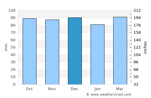 Tamaki average rain in December
