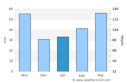 Tamamura average rain in January
