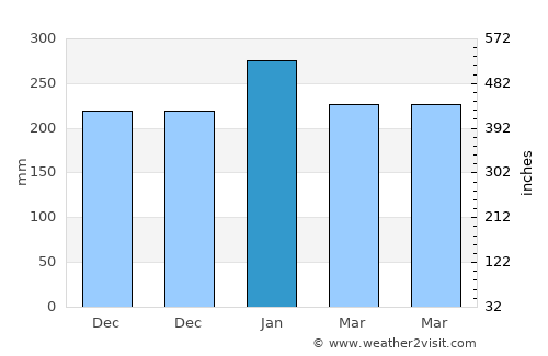 Taman average rain in January
