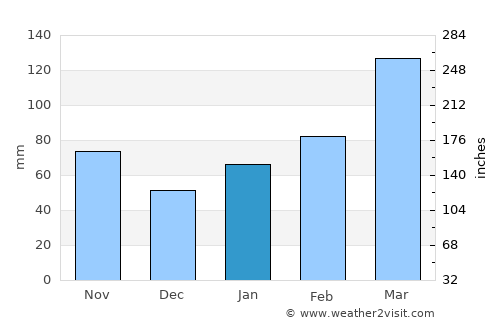 Tamana average rain in January