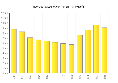 Tamandaré average daily sunshine chart