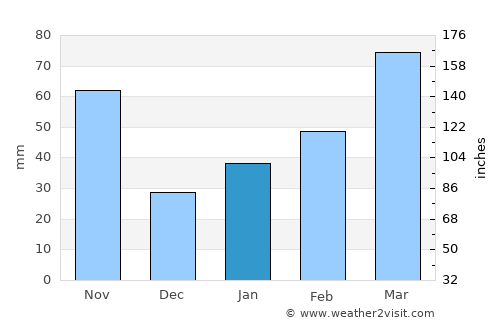 Tamano average rain in January