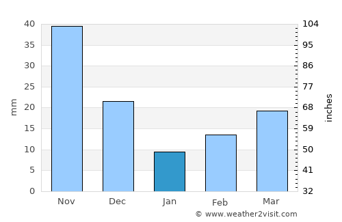 Tamayo average rain in January
