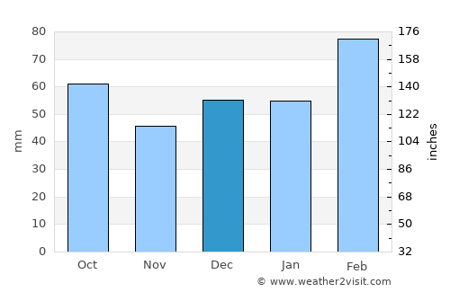 Tampa average rain in December