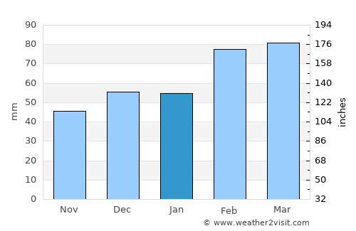 Tampa average rain in January