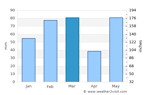 Tampa average rain in March