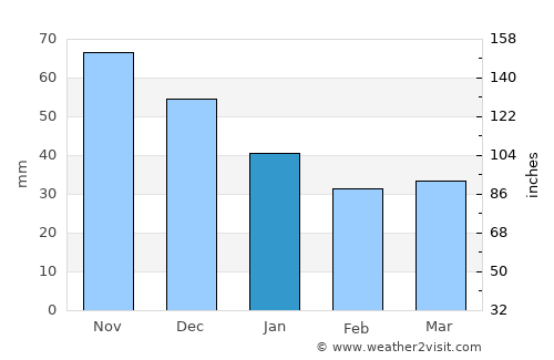 Tamsalu average rain in January