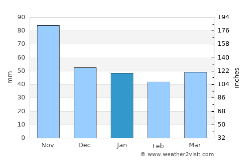 Tamuín average rain in January