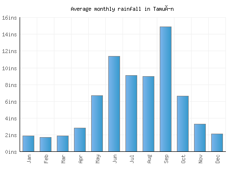 Tamuín monthly rainfall chart (inches)