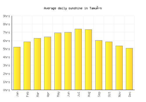 Tamuín average daily sunshine chart